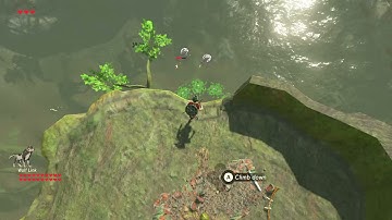 [DAY 48] of finding one korok seed everyday until Botw2 comes out