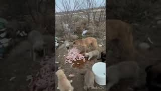 Hatırladınız Mj Iyiye Gidiyor Çok Şükür