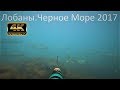 ГИГАНТСКИЕ КОСЯКИ КРУПНОГО ЛОБАНА. ПОДВОДНАЯ ОХОТА ЧЕРНОЕ МОРЕ 2017