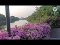 สวนที่น่าไปพักผ่อนมากที่สุด ในประเทศไทย