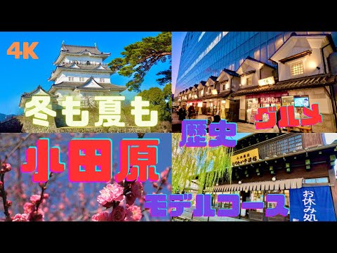 【4K】暖かくて涼しい小田原観光（歴史/グルメ/モデルコース）