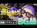 スプラトゥーン3 メインテーマ BGM 30分耐久 