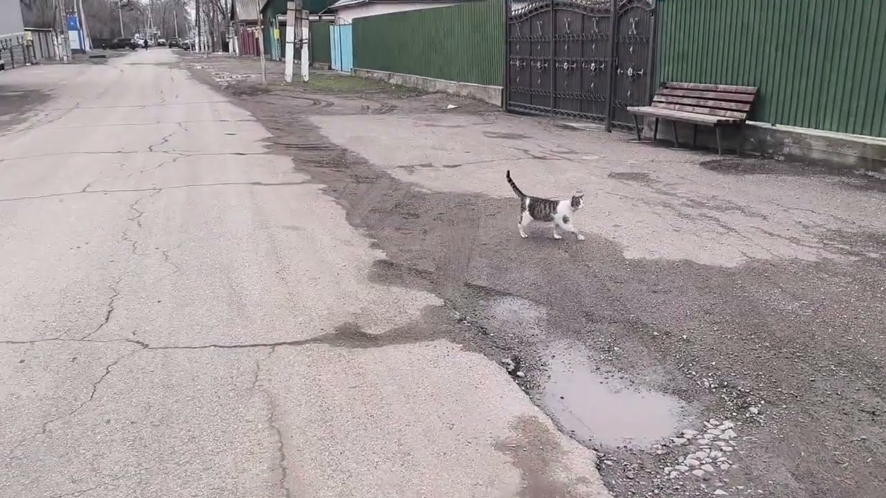 6 марта 2026 г.