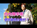 #白內障雷射手術，「健保」還是「自費」好？【園丁筆記】