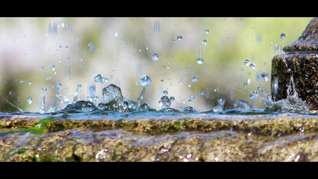 YouTubeでDeep Sleep Relaxing Rain Drops and Birds Chirping Tibetan Singing Bowlを視聴 YouTubeでDeep Sleep Relaxing Rain Drops and Birds Chirping Tibetan Singing Bowlを視聴