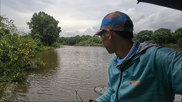 Chia Sẻ Điểm Câu Cá Sặc Rằn Ở Định Quán   Đồng Nai