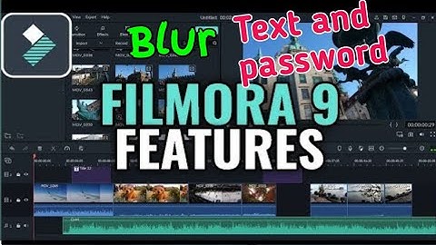 Filmora 9: How to Blur Text or password  (Super Easy)