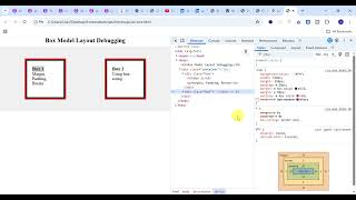 CSS Box Model || #css3