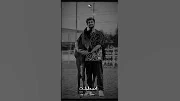 اسطبلات وحصنة كتير ع الناصيات انتظروا اغنية اسطبلات يوم الخميس اسطبلات سعيد فتلة اغانى حماسية 