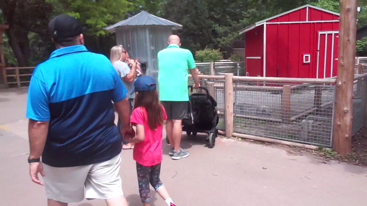 TRIP TO POTAWATOMI ZOO PART 1 YouTube
