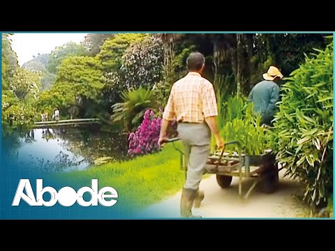 We Found Paradise: a Hidden Old Victorian Garden in Cornwall | Lost Gardens of Heligan | Abode