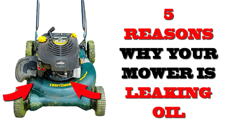 Top 5 Reasons Why Your Lawn Mower Is Leaking Oil