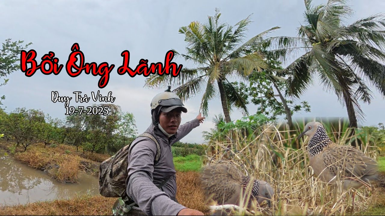 Duy Trà Vinh || Bổi Ông Lãnh số 185 ngày 19/7/2025 #cugaytravinh