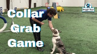 Collar Grab Game for Come When Called.#MinWinDog