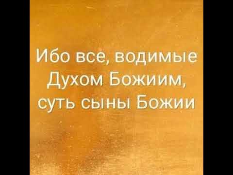 как быть водимым духом святым дерек принс. водимые духом святым. все водимые духом божиим суть сыны божии. ибо все водимые духом божиим суть сыны божии. вождение духом святым.