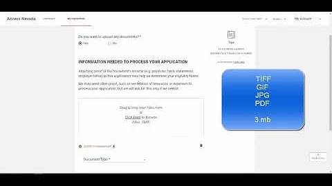Access Nevada - How to upload documents