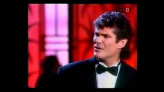 david hasselhoff-summer of love