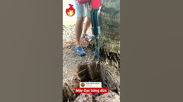 máy đục bứng gốc dừa cực nhanh #videoviral #shortsviral