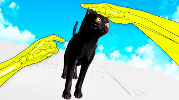 I Used Finger Tracking to Pet a Cat and it Was Amazing in Hand Physics Lab VR on the Oculus Quest 2!