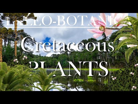 The Evolution of the Cretaceous Plants