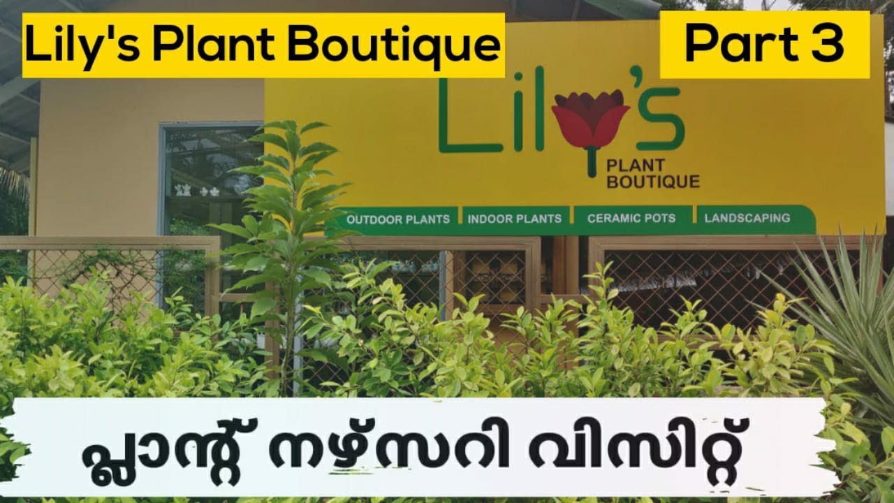 Garden Tour 🍀🌺🌼🌿Lily's Plant Boutique/Garden ideas/Garden setting ideas