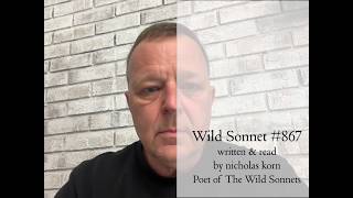 Poetry Reading | Wild Sonnet No. 867