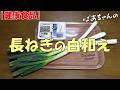 【健康食品】長ねぎの白和え『ヘルシーで体に優しくメッチャ旨い!!』