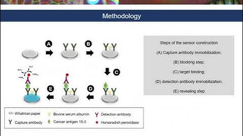 Paper-based ELISA for rapid protein detection _ Poster Pitch Video _ Biosensors 2021