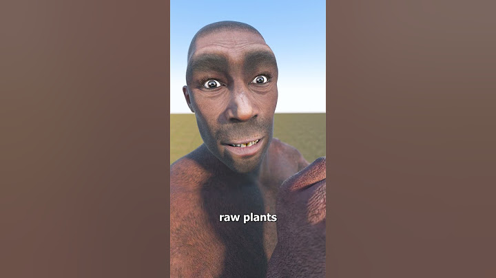 Why Our Ancestors Didn’t Wipe 🤔