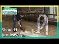 Should I just leave? (Stars' Top Recipe at Fun-Staurant) | KBS WORLD TV 210105