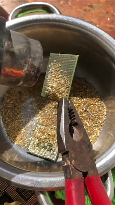 AMD Sempron Cpu processor .Removing pins For Gold Recovery . gold recovery from cpu Processors