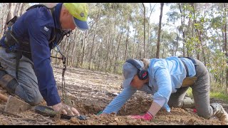 A FEW DAYS AT MARYBOROUGH - Rust, Lead-shot and GOLD!