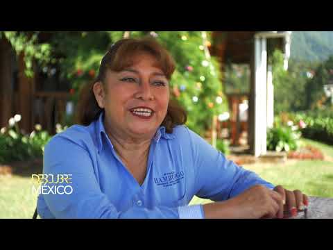 Chiapas Finca Hamburgo Descubre Mexico