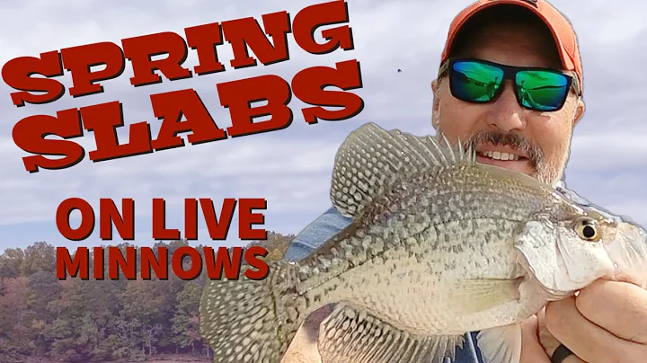 How to use live minnows to fill the live well [SPRINGTIME Crappie strategy!]