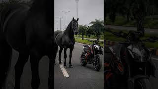 ☠️☠️☠️ ktm duke 250