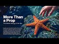 More Than a Prop: 5 Reasons Your 'Quick Photo' Is Killing Sea Stars