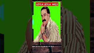 Kahtalı Mıçı Leyla Kürtçe Resimi