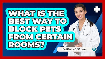 What Is The Best Way To Block Pets From Certain Rooms? - PetGuide360.com