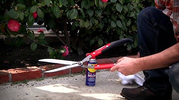 WD40 2000 Uses Video - Pep Boys