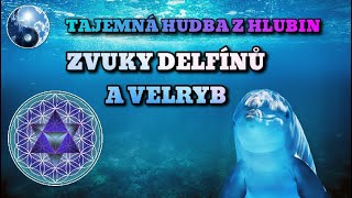 Tajemná hudba z hlubin - Zpěv delfínů🐬a velryb🐳 - RELAXAČNÍ A MEDITAČNÍ NAHRÁVKA, hudba během spánku