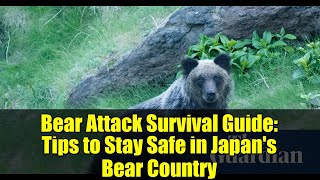 Bear Attack Survival Guide: Tips to Stay Safe in Japan's Bear Country