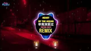 Titanic - Heart Of The Ocean x 毕竟深爱过 (抖音DJ小龙版 2023) Đã Từng Yêu Đậm Sâu (Remix Tiktok) || Hot Tiktok