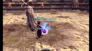 Dragon Nest Gravity Ascension(Non-EX) bug