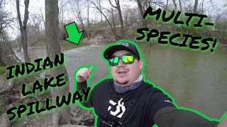 Indian Lake SPILLWAY and CREEK fishing (Ohio)
