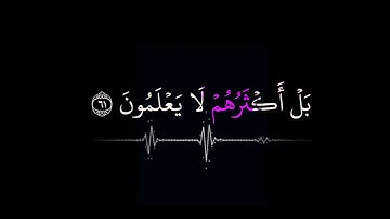 كروما شاشة سوداء سورة النمل  : أَمَّن جَعَلَ ٱلْأَرْضَ قَرَارًا  القارئ ياسر الدوسري #foryou
