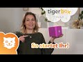 Cindy familie m so einfach startet ihr mit der tigerbox touch