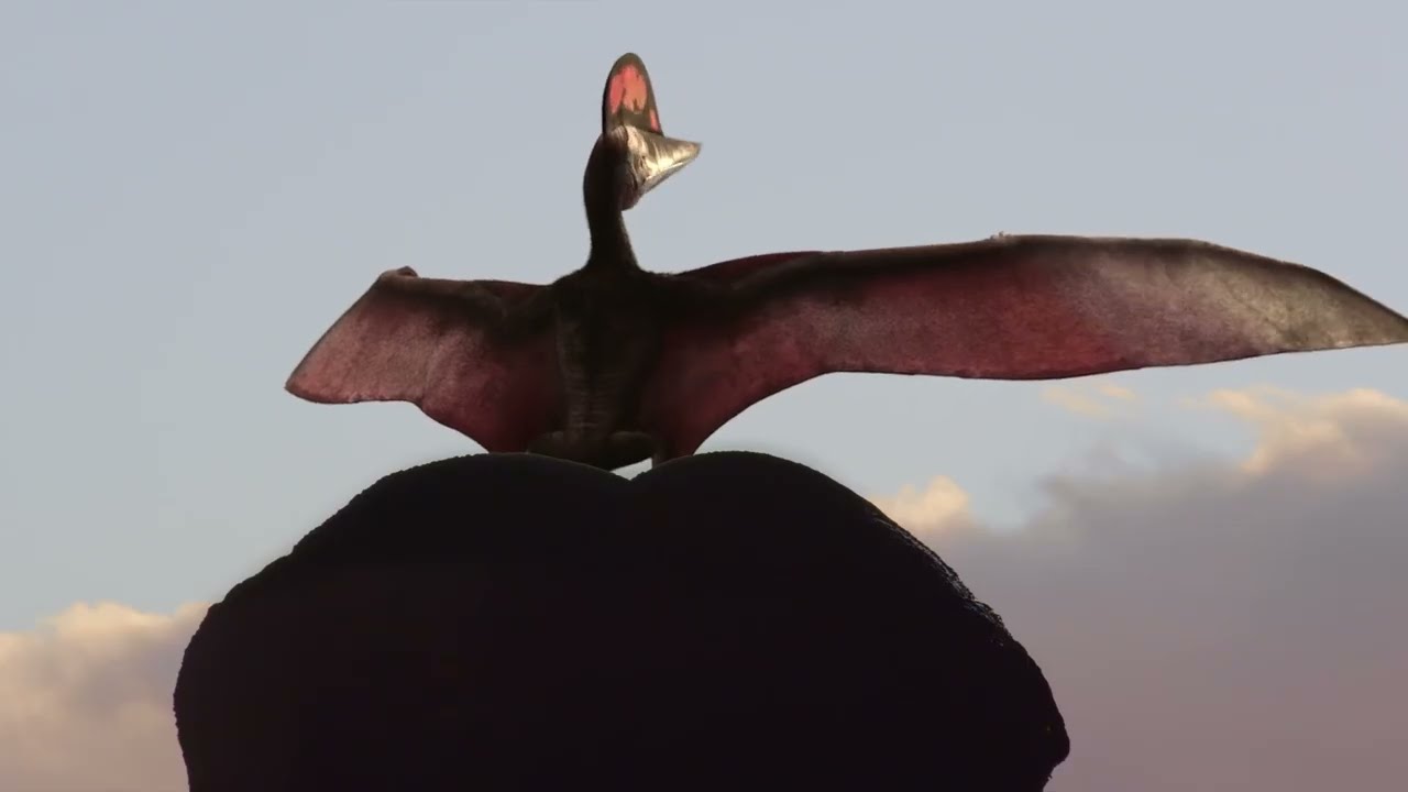 First Birds On Earth