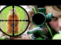 Sniping groundhogs w 17hmr scope cam