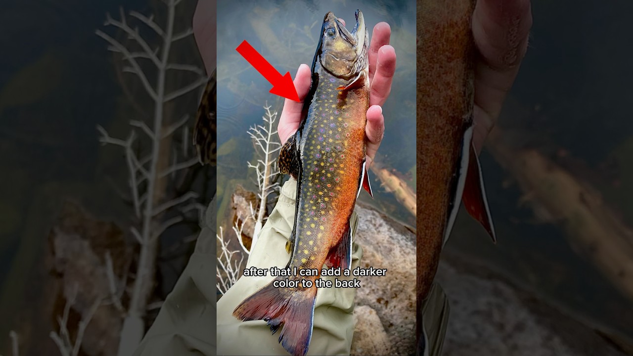 How to get the small details right when painting a lure! 