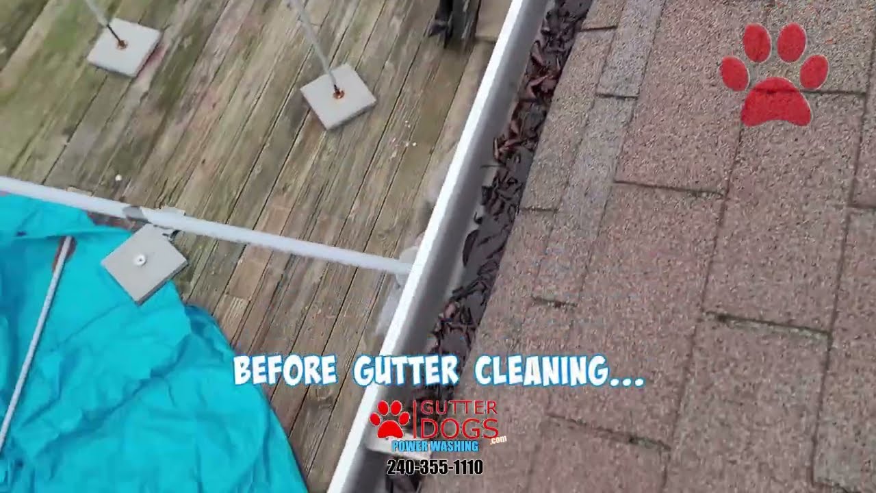 Gutter Cleaning PG County MD